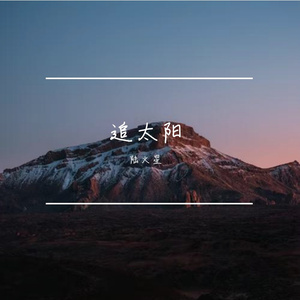 追太阳