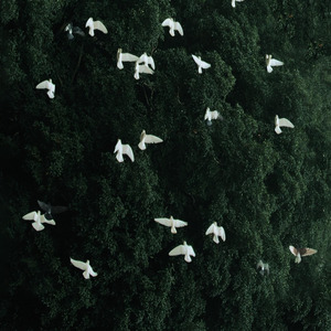 我们都不懂离别的重量 直到某天冷空气里裹