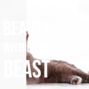 Sunset On Venusian Beach