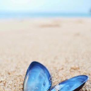 南湖（翻自 刘铭沁）