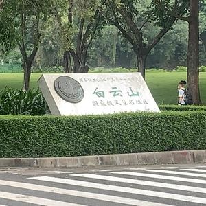 真系好鬼烦