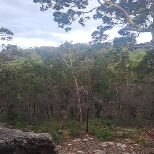 Thinking Will Be My ****ing End One Day