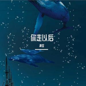 你走以后（翻自 王恩信Est）