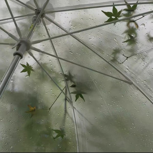 晨间雨滴背书记忆自然白噪音疗