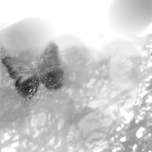 我无法做到的是 为你写最后一首歌