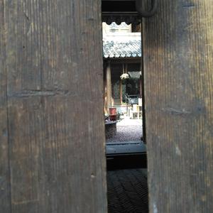 盗将行（翻自 花粥）