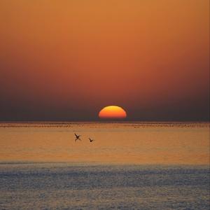 趁黎明来临前说爱吧