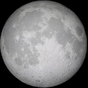 さくらなのはな（SATTE FRAY S 22TH ANNIVERSARY MX）