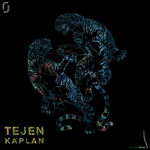 Kaplan