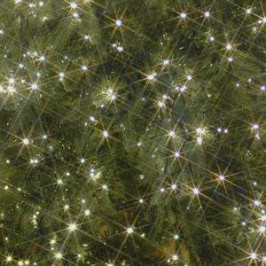 크리스마스에는