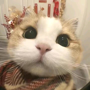 星野漫游