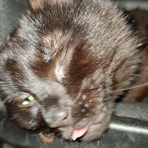 Erfurt (Funk Version)