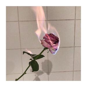 Withered flowers