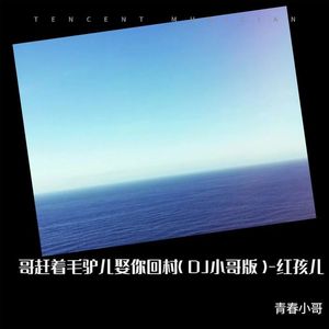 哥赶着毛驴儿娶你回村— (DJ小哥版|Remix)