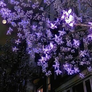 LOST IN LOVE（Prod.JayDass）