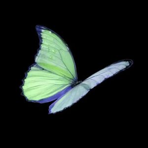 恶作剧（热播1.2x）