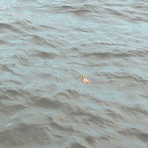 落点（Prod.Gr33nart Beats）