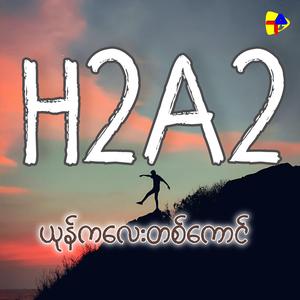 ယုန်ကလေးတစ်ကောင်