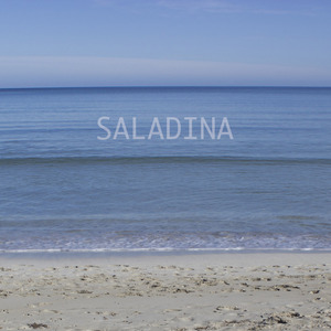 Saladina