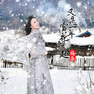 又是一年雪花飘起