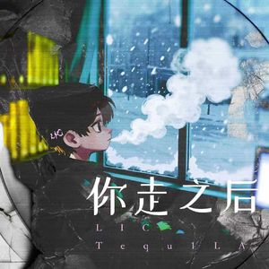 你走之后