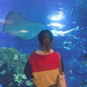 Fields of hope（翻自 田中理恵）