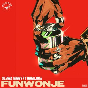 FUN WONJE (feat. igbalode lomo)