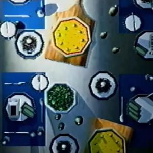 食虫植物（Cover 笹川真生)