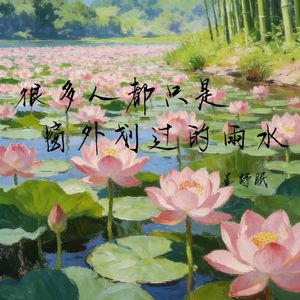 很多人都只是窗外划过的雨水