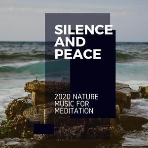 Soothing Woodland Point