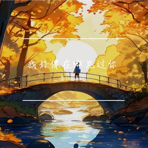 我好像在哪见过你 伴奏