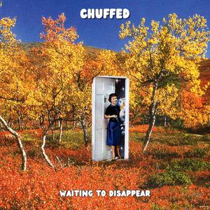 Waiting to Disappear