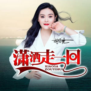 潇洒走一回 (Dj阿阳版伴奏)