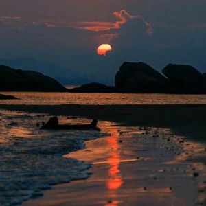 [免费]“虚拟”beat