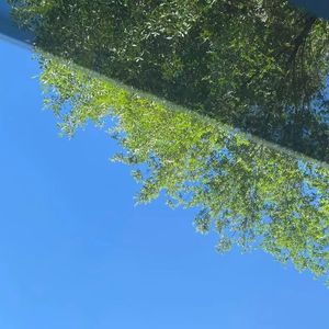 WITHERED(prod. tennis player)