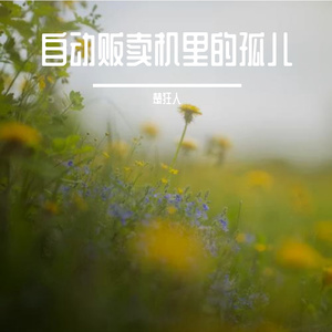 自动贩卖机里的孤儿