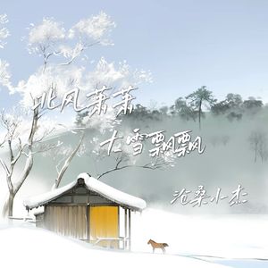 北风萧萧大雪飘飘