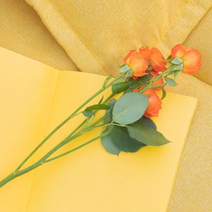 蹦吧蹦吧（DJ RB-circle Remix）