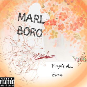 被告恋人（Marlboro）