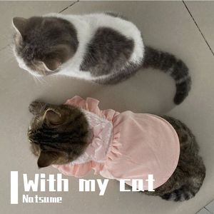 今天只做一件事