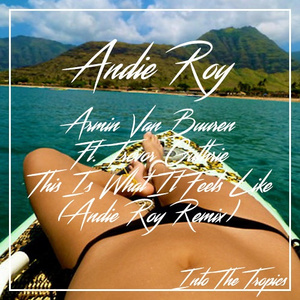 This Is What It Feels Like (Andie Roy Remix)