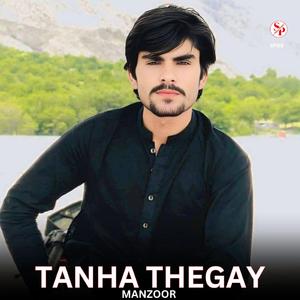 Tanha Thegay (feat. Manzoor)