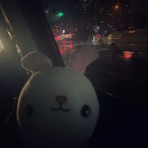 Cc小哥