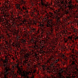 knockback (feat. Hesii)