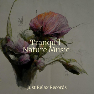 Dreamscaping Through Clouds