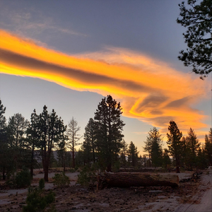 Sancuary (feat. Daniel Rhiger)