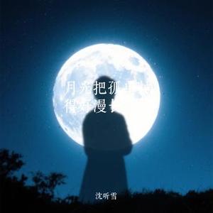 月光把孤单拉得好漫长