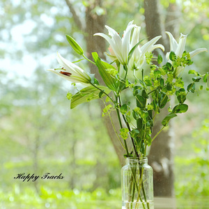 나를 어떻게 생각해?