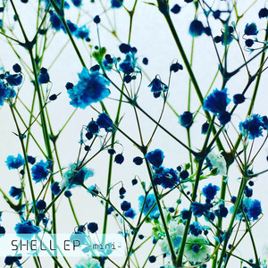 黒猫のサウンドトラック・カスタム