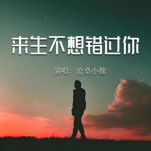 来生我不想再错过你